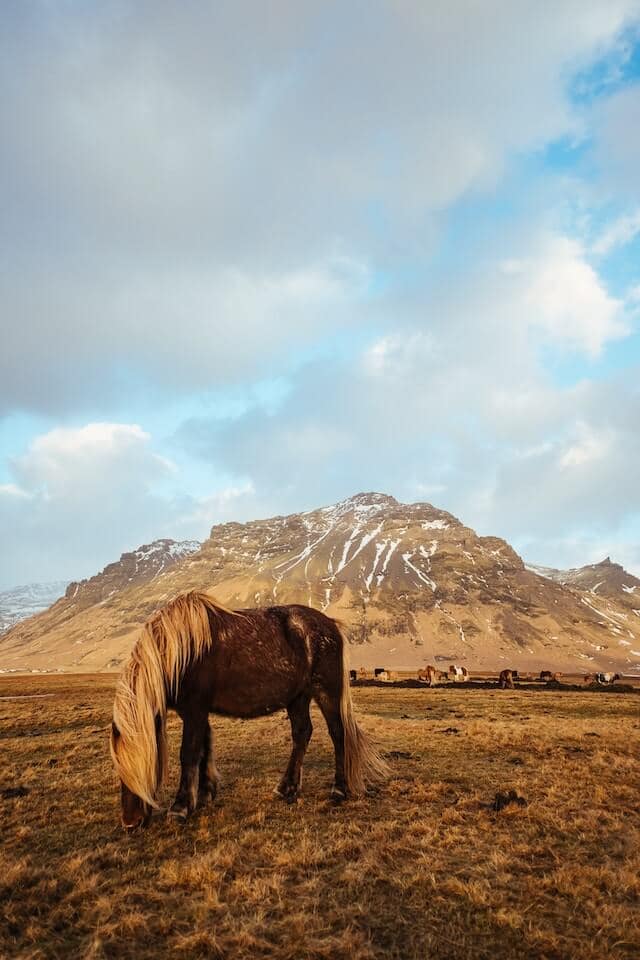 About Us 6 robert bye MKzoAADK9F4 unsplash 1